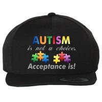 Autism I Not A Choice Acceptance Is Wool Snapback Cap