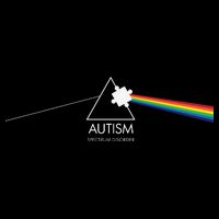Autism Spectrum Disorder Prism Premium T-Shirt