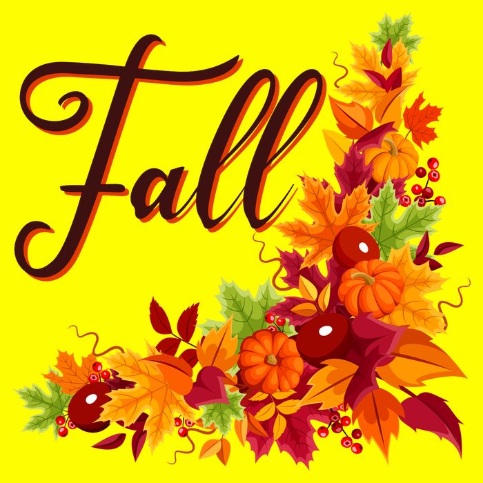 Autumn Fall Leaves Corner Design USA-Made Doggie Bandana
