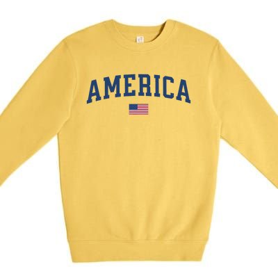 America Usa Women American Flag Premium Crewneck Sweatshirt