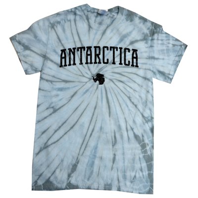 Antarctica Vintage Tie-Dye T-Shirt