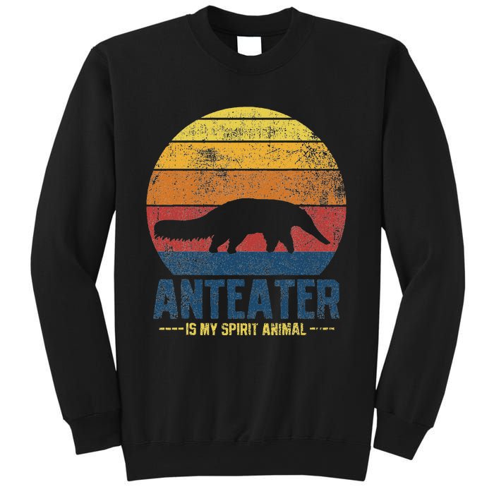 Anteater Vintage Sweatshirt