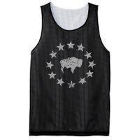 American Vintage Buffalo Silhouette Love Bison Mesh Reversible Basketball Jersey Tank