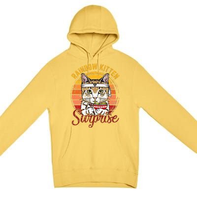 Animals Vintage Cats Rainbow Cat Kitten Surprise & Ra Premium Pullover Hoodie