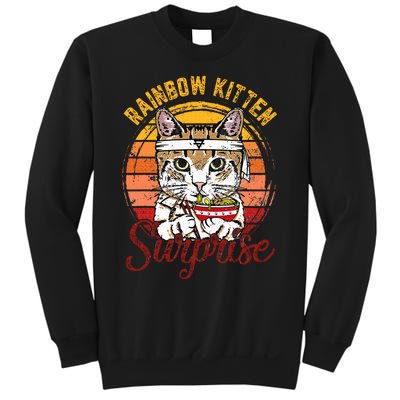 Animals Vintage Cats Rainbow Cat Kitten Surprise & Ra Sweatshirt