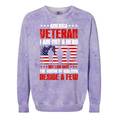 America Veteran Gift I Am Not A Hero Funny Gift Colorblast Crewneck Sweatshirt