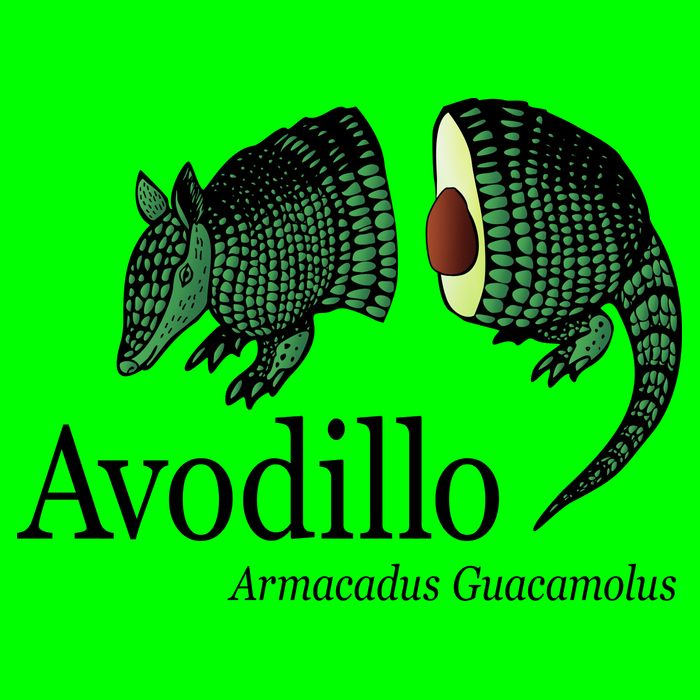 Avodillo Armacadus Guacamolus Armadillo Kids T-Shirt