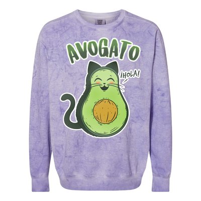 Avogato Cat Hola Colorblast Crewneck Sweatshirt