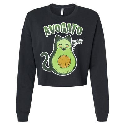 Avogato Cat Hola Cropped Pullover Crew