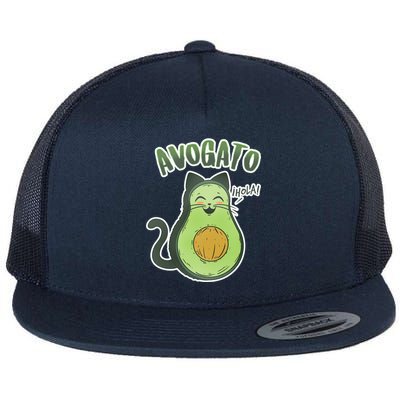 Avogato Cat Hola Flat Bill Trucker Hat