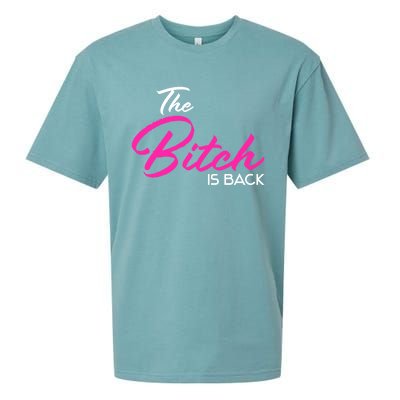 Adult Vulgar Saying The Bitch Is Back Best Friend Love Gift Funny Gift Sueded Cloud Jersey T-Shirt