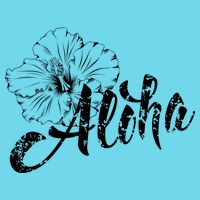 Aloha Vintage Tropical Hawaii Womens T-Shirt