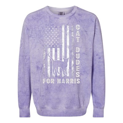 America Vote Usa Flag Cat Dudes For Kamala Harris Vote 2024 Colorblast Crewneck Sweatshirt