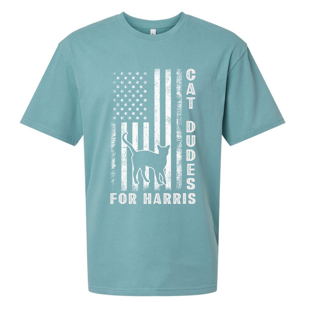 America Vote Usa Flag Cat Dudes For Kamala Harris Vote 2024 Sueded Cloud Jersey T-Shirt