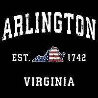 Arlington Virginia Va Vintage American Flag Sports Design Toddler T-Shirt