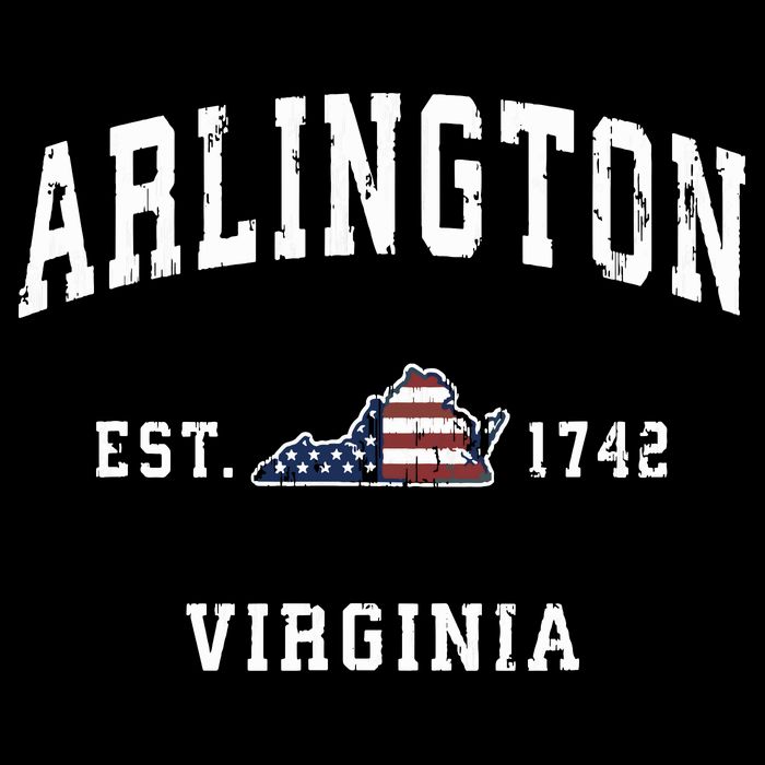 Arlington Virginia Va Vintage American Flag Sports Design Toddler T-Shirt