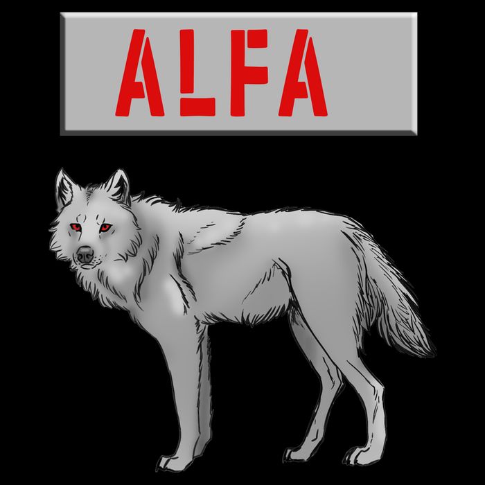 ALFA Wolf Drawstring Bag