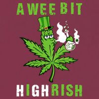 A Wee Bit Highrish Funny 420 Weed St Patricks Day 16oz Travel Tumbler