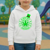 A Wee Bit Highrish Funny 420 Weed Marijuana St Patricks Day Vneck Kids Hoodie