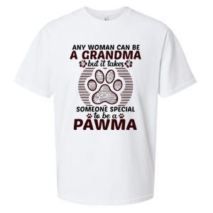 Any Woman Can Be A Grandma Dog Pawma Gifts Sueded Cloud Jersey T-Shirt