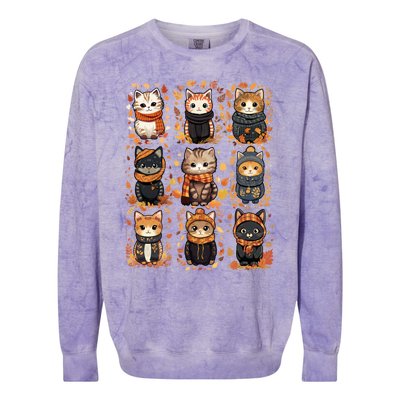 Autumn Winter Cat And Gift Colorblast Crewneck Sweatshirt