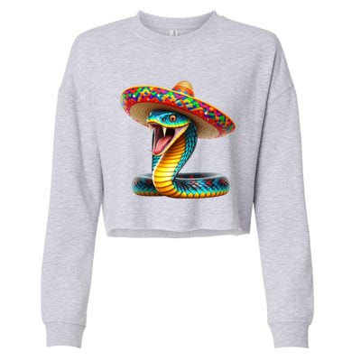 Anaconda Wearing Cinco De Mayo Hat Snake Lovers Birthday Gift Cropped Pullover Crew