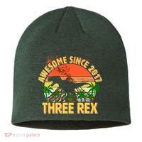 Awesome Since 2017 Tree Rex 3rd Birthday Sustainable Beanie