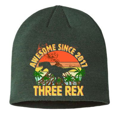 Awesome Since 2017 Tree Rex 3rd Birthday Sustainable Beanie