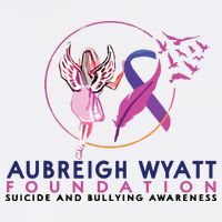 Aubreigh Wyatt Foundation Adult Drive Performance Visor