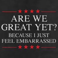 Are We Great Yet Because I Just Feel Embarrassed Resist Adult Drive Performance Visor