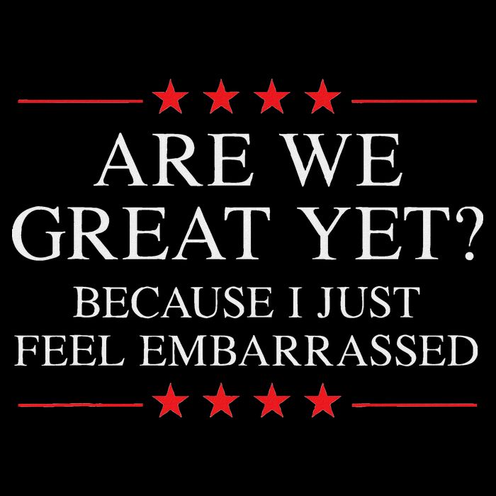Are We Great Yet Because I Just Feel Embarrassed Resist Wool Snapback Cap