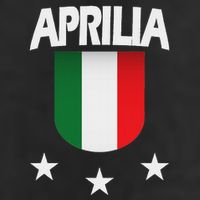 Aprilia With Italian Flag And 3 White Stars Adult Drive Performance Visor