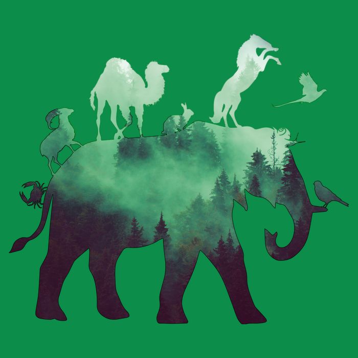 Animal Wild Life Forest Double Exposure Poster