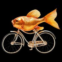 A Woman Needs A Man Like A Fish Needs A Bicycle Cooling Performance Crew T-Shirt