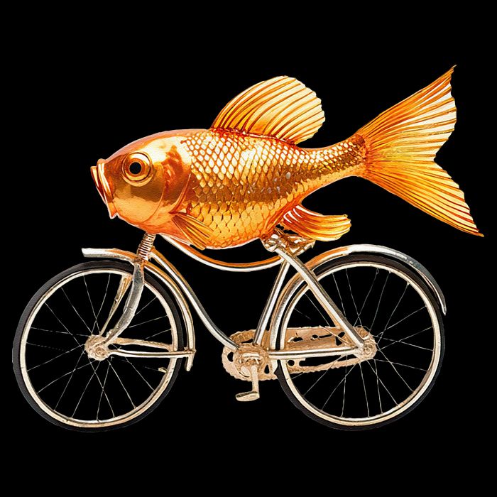 A Woman Needs A Man Like A Fish Needs A Bicycle Cooling Performance Crew T-Shirt