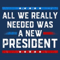 All We Really Needed Was A New President USA Poster