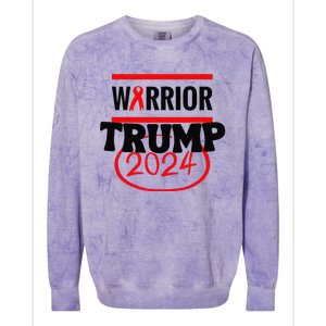 Awesome Warrior Trump 2024 Gift Colorblast Crewneck Sweatshirt