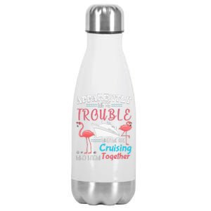 apparently we're trouble when we are cruising together Stainless Steel Insulated Water Bottle