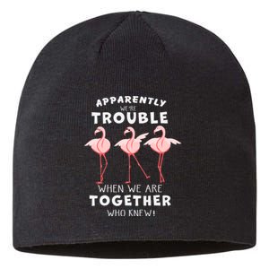 Apparently We're Trouble Flamingo Sustainable Beanie