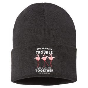 Apparently We're Trouble Flamingo Sustainable Knit Beanie