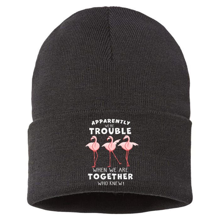 Apparently We're Trouble Flamingo Sustainable Knit Beanie