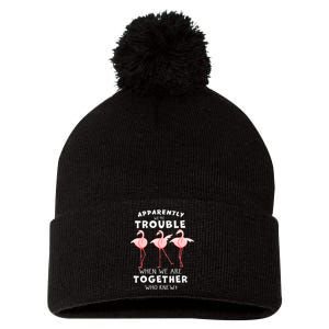 Apparently We're Trouble Flamingo Pom Pom 12in Knit Beanie