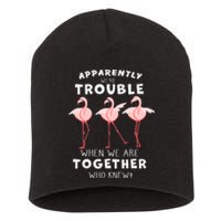 Apparently We're Trouble Flamingo Short Acrylic Beanie