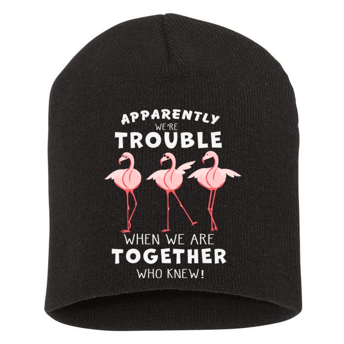 Apparently We're Trouble Flamingo Short Acrylic Beanie