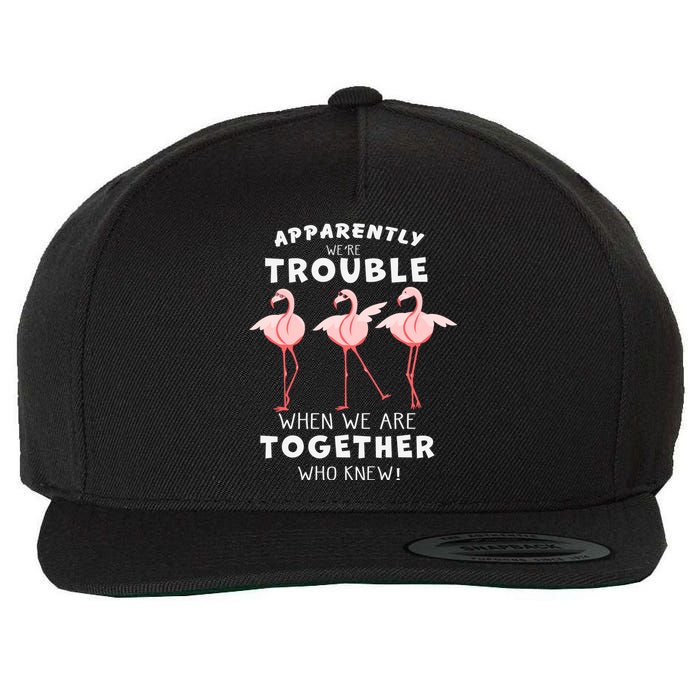 Apparently We're Trouble Flamingo Wool Snapback Cap