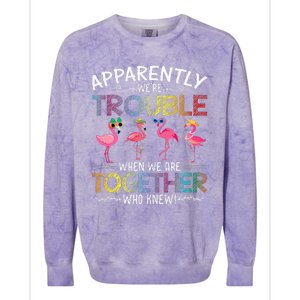 Apparently Were Trouble When We Are Together Who Knew Funny Colorblast Crewneck Sweatshirt