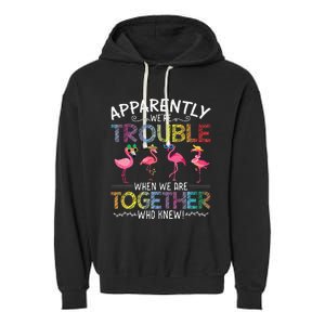 Apparently Were Trouble When We Are Together Who Knew Funny Garment-Dyed Fleece Hoodie