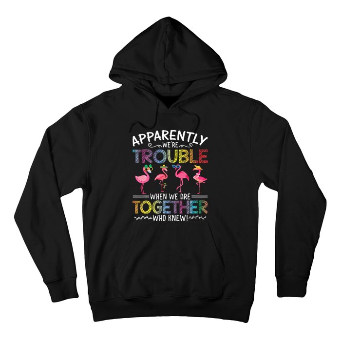 Apparently Were Trouble When We Are Together Who Knew Funny Hoodie