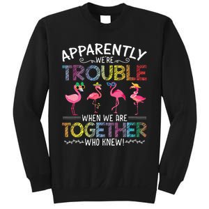 Apparently Were Trouble When We Are Together Who Knew Funny Sweatshirt