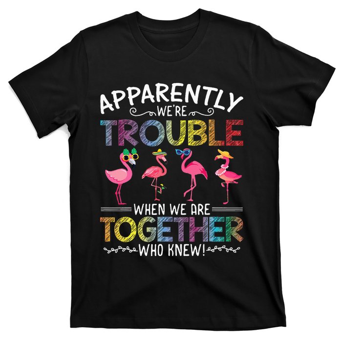 Apparently Were Trouble When We Are Together Who Knew Funny T-Shirt